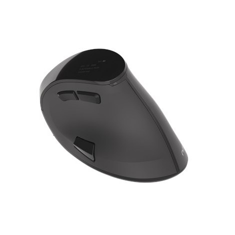 Natec | Vertical Mouse | Euphonie | Wireless | Bluetooth/USB Nano Receiver | Black - 2